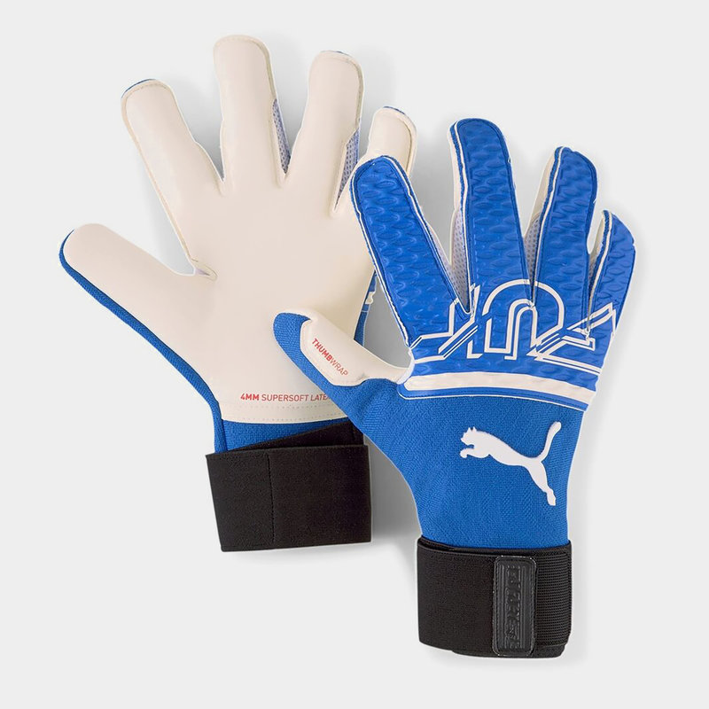 Puma Future Goalkeeper Gloves