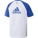 Juventus Teamgeist T-Shirt