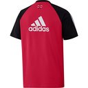 Ajax Teamgeist T-Shirt