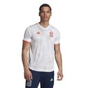 Spain Away Authentic Shirt 2020